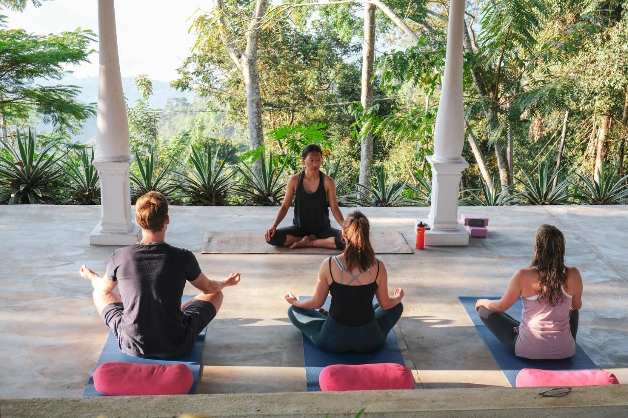 Отель Welikande Yoga Retreats Дигана Экстерьер фото